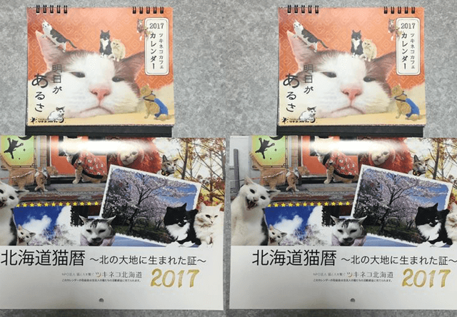 ツキネコ北海道、2017年のオリジナル猫カレンダーを発売中