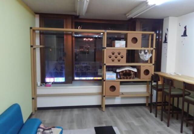 滋賀県大津市に初の猫カフェ「ねこのおうち」が新規オープン