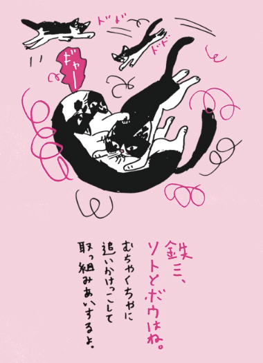 ミロコマチコさんの猫本「ねこまみれ帳」のイラスト