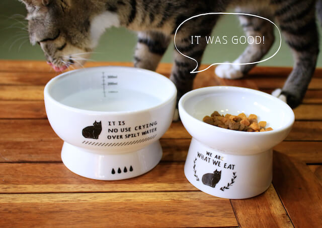 シンプルデザインの猫用食器