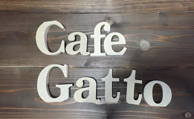福岡の保護猫カフェ「Cafe Gatto」