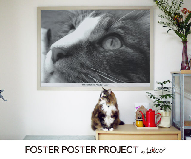 猫写真で作れる特大アートポスター