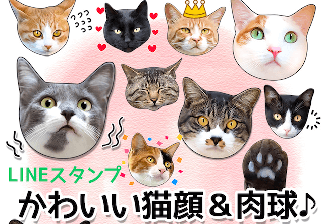 38種類の猫を収録、LINEスタンプ「かわいい猫顔＆肉球♪」が登場