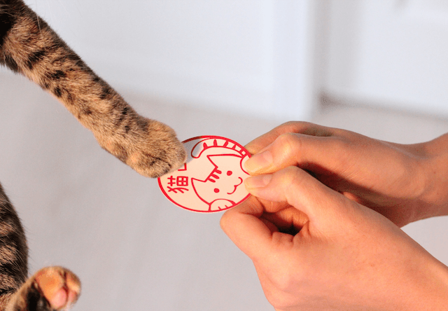 愛猫用と飼い主用の名刺が作れる「ねこずかん ねこめいし」