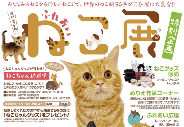 世界中の珍しい猫と触れ合える「ふれあい ねこ展」が青森で開催