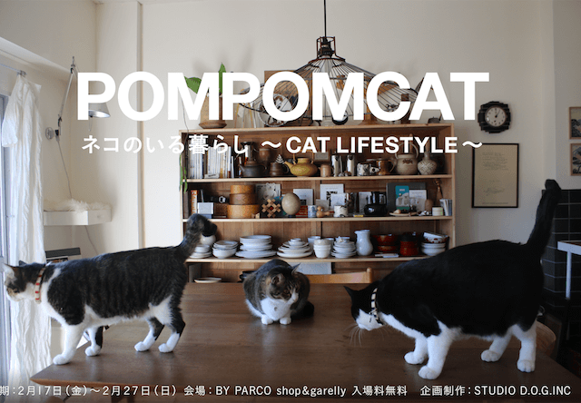 猫×お洒落なライフスタイルがテーマ、POMPOMCAT(ポンポンキャット)の企画展「猫のいる暮らし展」が南青山で開催
