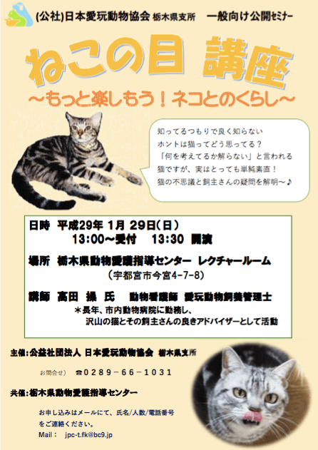 栃木県動物愛護指導センターで開催「ねこの目講座～もっと楽しもう！ネコとのくらし～」