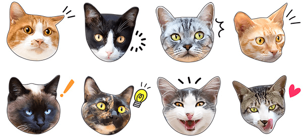 猫のLINEスタンプ「かわいい猫顔＆肉球♪」のイメージ3