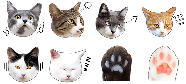 猫のLINEスタンプ「かわいい猫顔＆肉球♪」のイメージ5