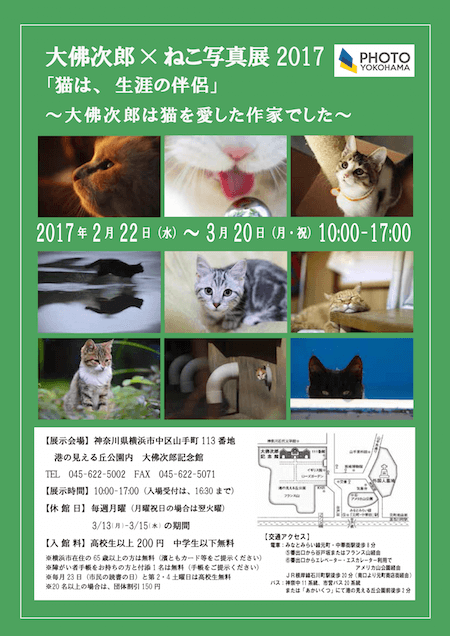 大佛次郎×ねこ写真展2017「猫は、生涯の伴侶」～大佛次郎は猫を愛した作家でした～