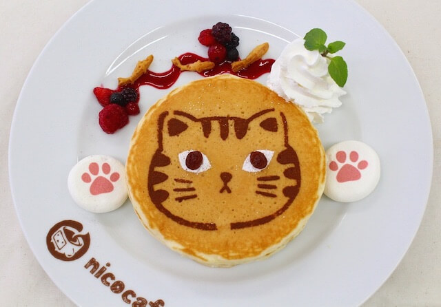 ニコカフェの限定猫メニュー、ぷにぷに肉球連打パンケーキ