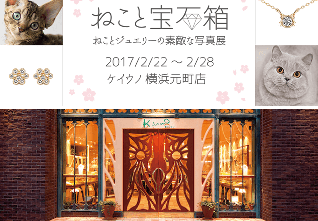 猫×ジュエリーのコラボ写真展「ねこと宝石箱」が2/22から開催
