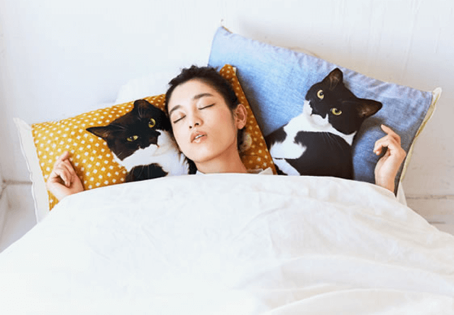 バットマン柄の人気猫「ギズモさん」の枕カバーが登場