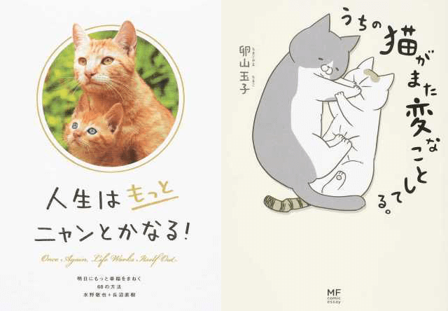 丸善、ジュンク堂書店、文教堂、honto.jpが発表した2016年の猫本ランキング