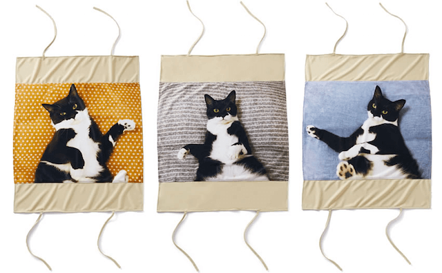 人気猫「ギズモさん」の枕カバーは3種類のラインナップ