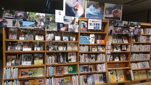 猫ノ図書館のイメージ写真