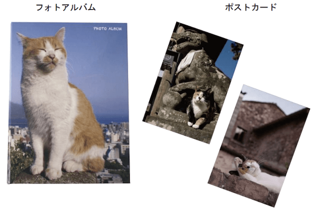 岩合光昭×郵便局のコラボ猫グッズ第2弾、ポストカード付きフォトアルバム
