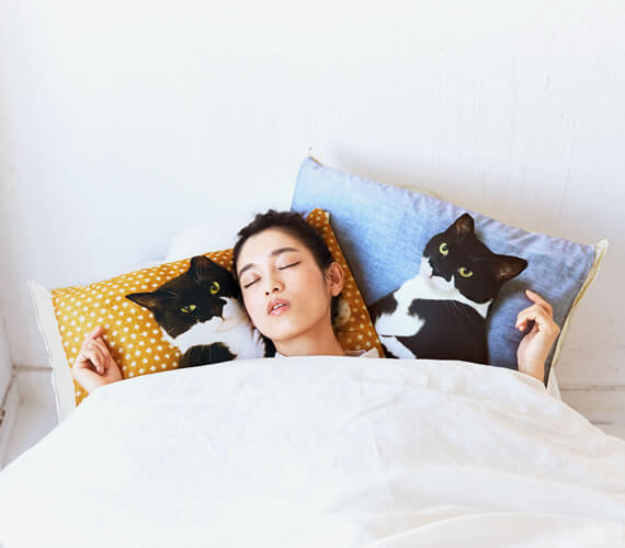人気猫「ギズモさん」の枕カバー、実際の使用イメージ