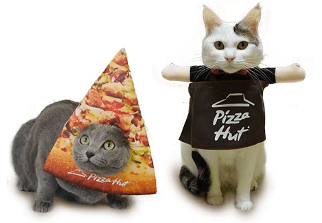 ピザハットオリジナルの猫用グッズセット