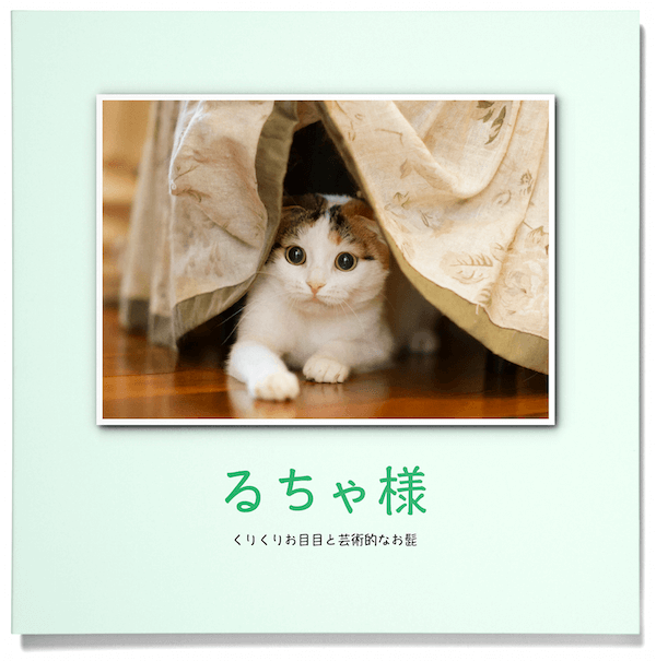 「PhotoJewel S（フォトジュエル・エス）」で作成した猫のフォトブック