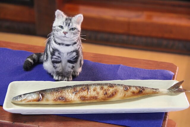 中山みどりさんの羊毛フェルト作品、オーダーメイドで制作した魚の前に座る猫