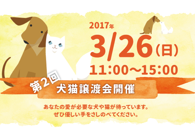 関西ペット協会、3/26に大阪・吹田市で犬猫の譲渡会が開催、譲渡希望者も募集中