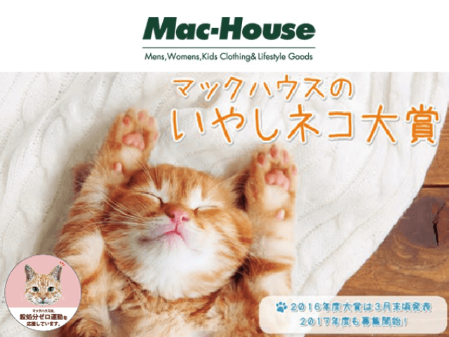 賞金10万円の猫フォトコンテスト第二回「いやしネコ大賞」が開催中