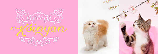 猫好きな人を対象にしたブランド「KOINYAN（コイニャン）」