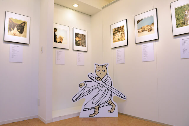 南幅俊輔写真展「老子と猫」の展示作品