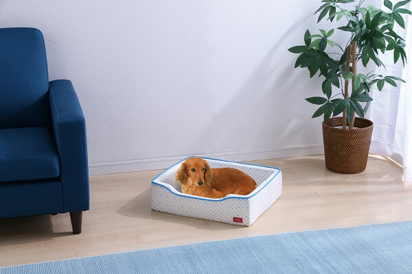 アイリスプラザの夏用猫ベッド、クールウレタンベッド（角型）の使用イメージ