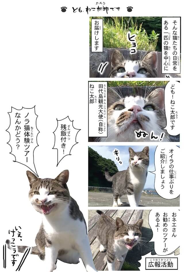 フォトコミック「田代島ねこ便り」猫マンガ誌面イメージ2