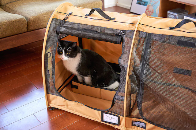 猫キャリーバッグ「ペットツインカーゴ」の中に設置したトイレで用を足す猫