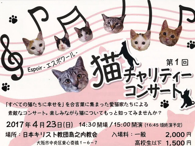 保護猫のチャリティーコンサートが大阪・島之内教会で開催