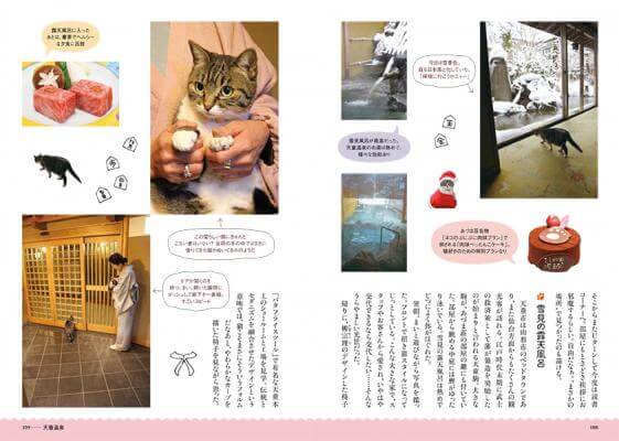 書籍「ネコ温泉」に掲載されている猫がもてなす温泉宿