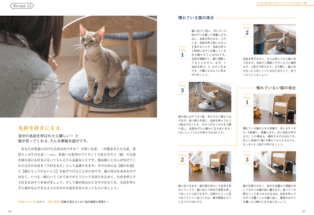 書籍「猫との暮らしが変わる遊びのレシピ」の書籍内容イメージ