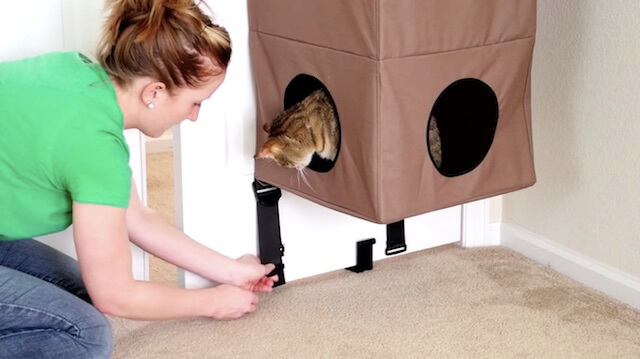 ベルトを締めて猫ハウス「Hangin Cat Condo」をドアに固定