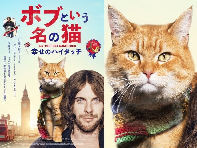 ホームレスと野良猫の友情物語(実話)が映画化「ボブという名の猫 幸せのハイタッチ」