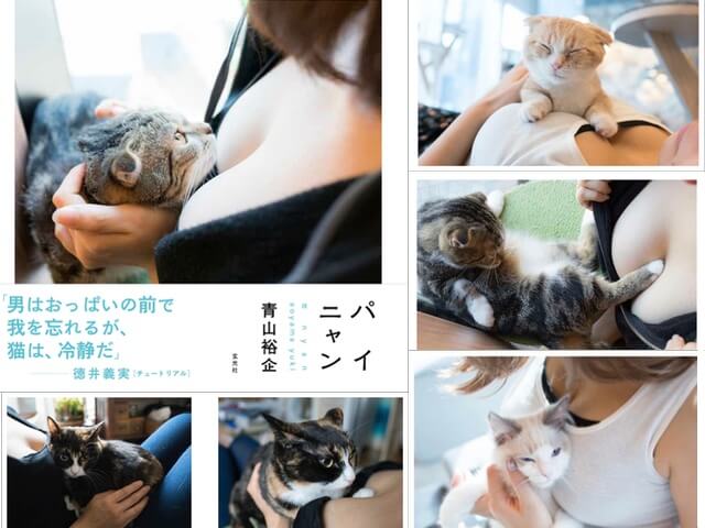 チュート徳井さんも堪能、猫とおっぱいの写真集「パイニャン」