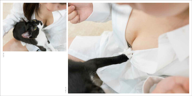 写真集「パイニャン」、おっぱいに猫パンチする猫
