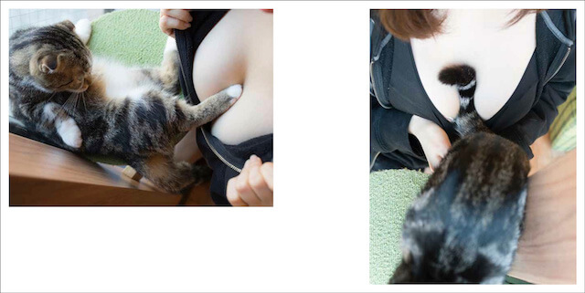 写真集「パイニャン」、女性の胸にキックする猫