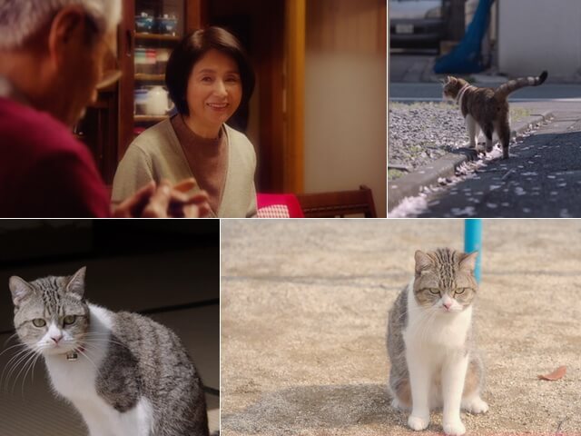 父の日に贈る「お父さんと猫の物語」三菱電機が動画を公開