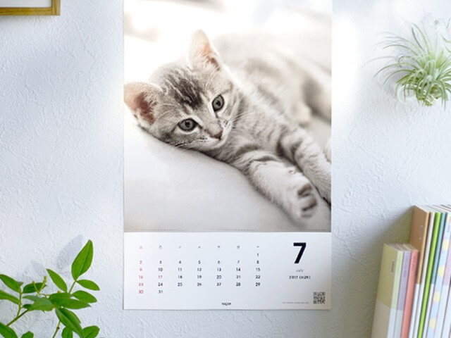 愛猫の写真でA4サイズのカレンダーを作成、初回はニャンと100円