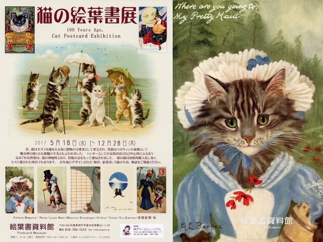 100年前のネコの絵葉書を200枚展示している「猫の絵葉書展」