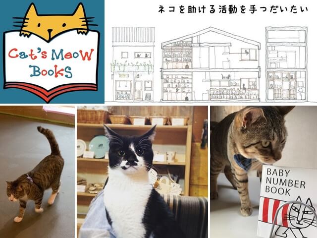 保護猫と書店が助け合う三軒茶屋の猫本屋、Cat's Meow Books（(キャッツ ミャウ ブックス)）
