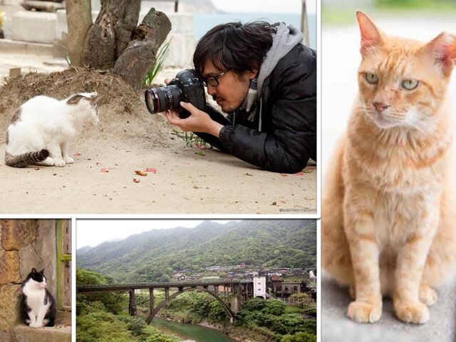 スマホでもOK！猫写真家・沖昌之さんと行く台湾ネコ撮影ツアー
