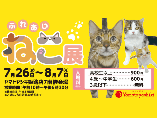 世界中の珍しい猫と触れ合える「ふれあい ねこ展」が姫路で開催