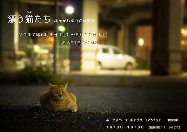 深川裕子さんによるネコの写真展「漂う猫（もの）たち」