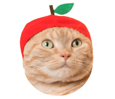 猫のかぶりもの「かわいい かわいい ねこフルーツちゃん」、りんごバージョン