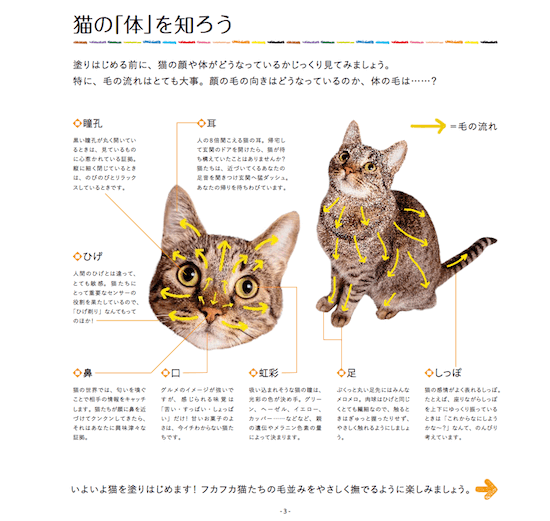 猫の顔＆体のパーツ解説付き