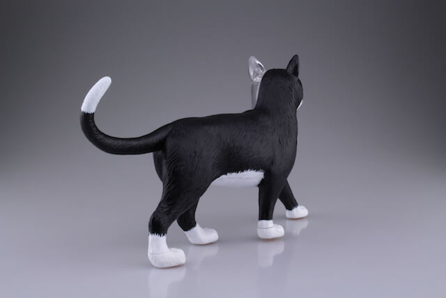 超リアルな猫の解剖模型（右後方から見た外観）